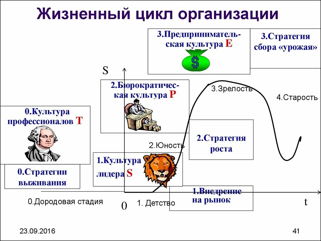 Жизненные стадии компании