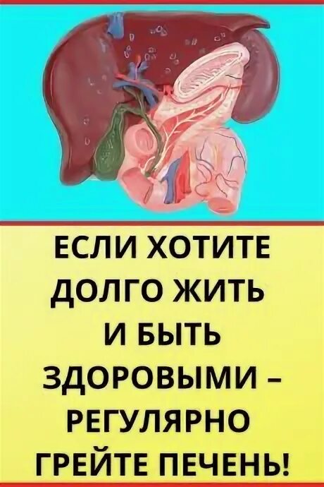 Вы не хотите долго. Нет сил ждать. Слишком долго. Есть проблемы не хочу есть проблемы. Как долго вы тут работаете.