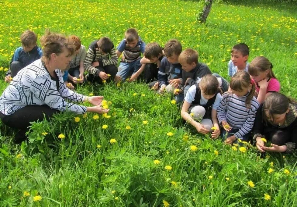 Растения младших школьников. Дети на экскурсии на природе. что такое природа для дошкольников. школьники на природе. экологическое воспитание.