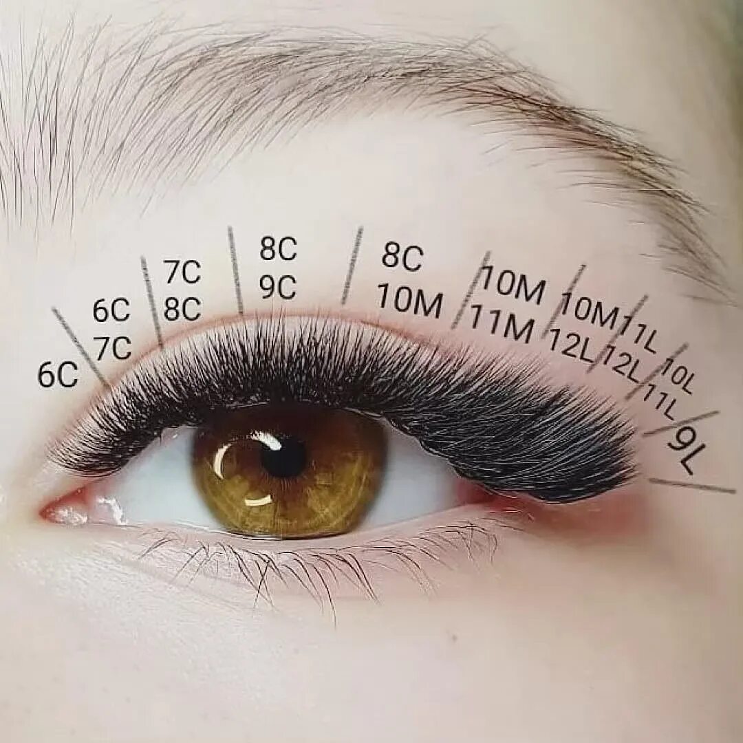 формы накладных ресниц. формы накладных ресниц. схема наращивания ресниц лисий эффект 2д изгиб с. накладные ресницы. ресницы для наращивания.