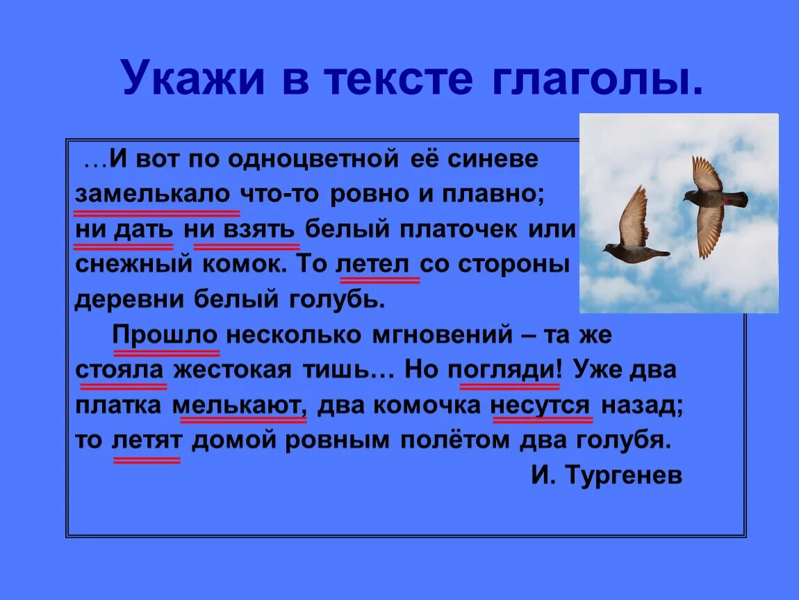 Текст по теме глагол 2 класс. Текст с глаголами. Маленький текст с глаголами. Определение глагола в тексте. Текст с глаголами 2 класс.