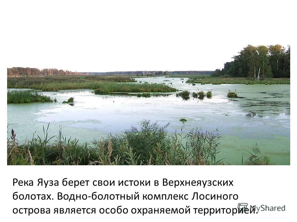 река яуза описание окружающий мир 4 класс