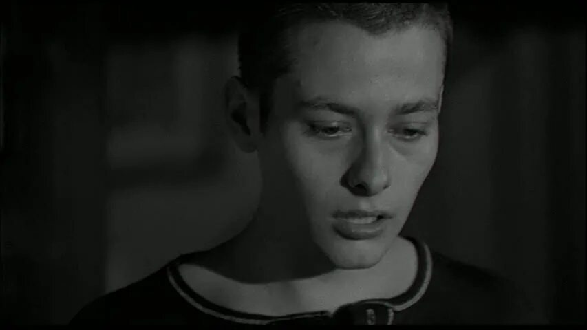 History x reader