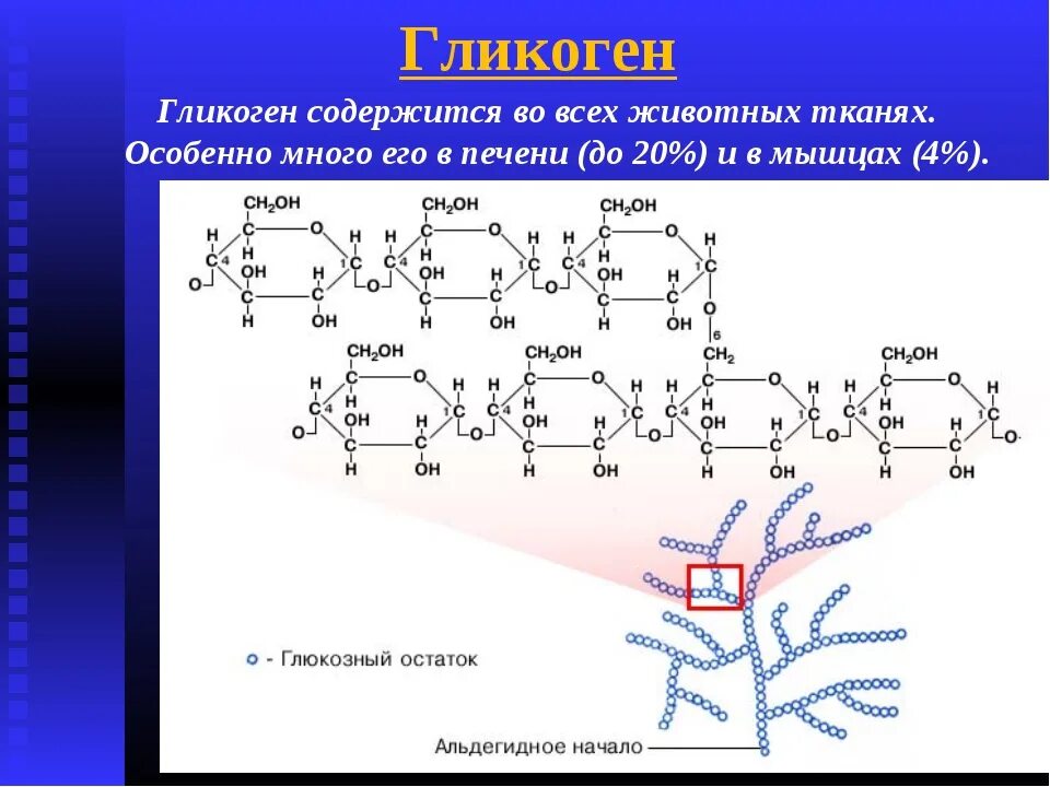Запасным углеводом в печени человека является. Химическая структура гликогена. Строение гликогена формула. Гликоген строение химия. Молекула гликогена формула.