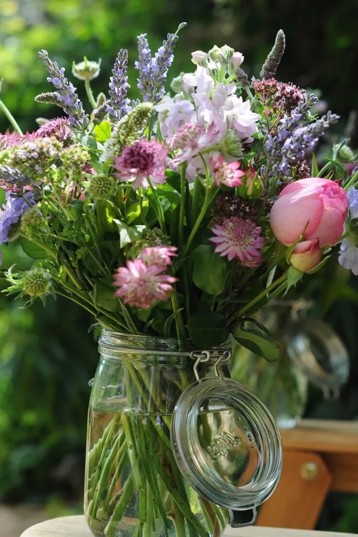 Красивые растения. Цветок. The best flowers. Цветы топ 10 популярных. Букет цветов обои.