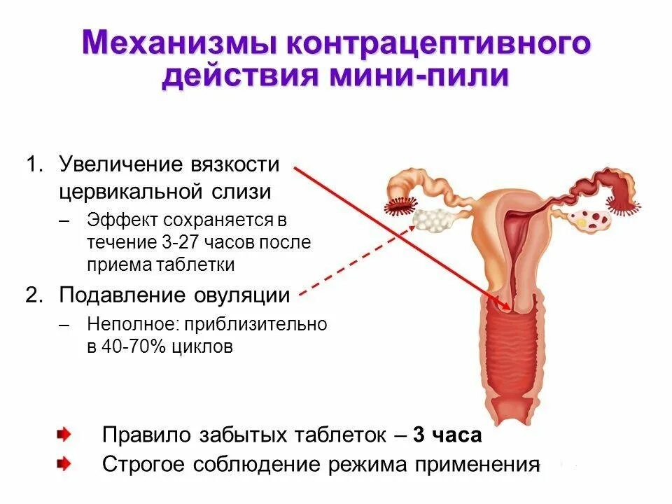 Механизм действия мини пили. Гормональная контрацепция мини пили. Механизм действия контрацептивных гормональных препаратов. Схема действия комбинированных оральных контрацептивов. При приеме противозачаточных овуляция