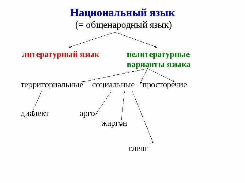 Литературный вариант слова. Национальный и литературный язык. Национальный язык и литературный язык. Национальный язык это. Русский национальный и литературный язык.