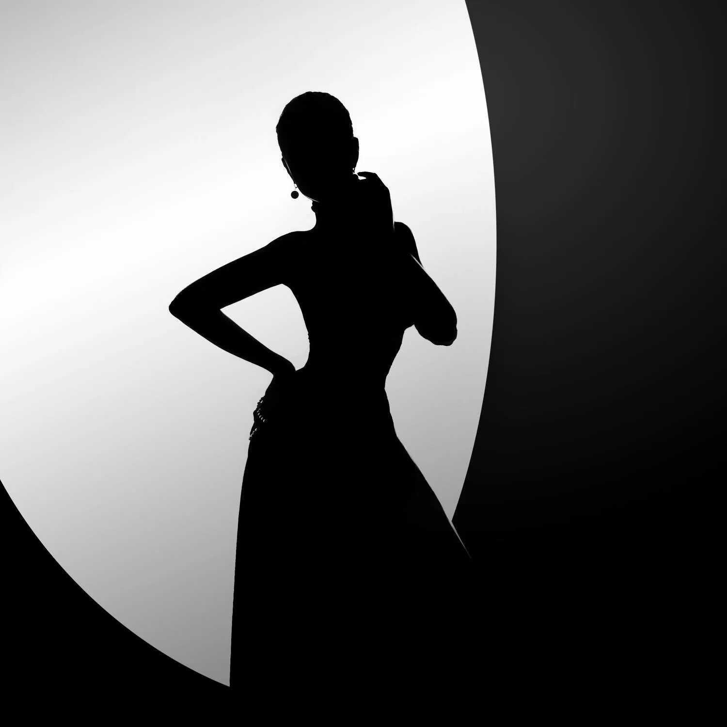 Изящные силуэты женщин. Силуэт головы женщины. Девушка бонда силуэт. Силуэт элегантной женщины. Изящные силуэты женщин.