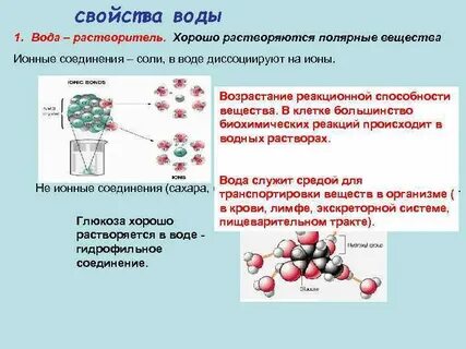 Ионная характерные свойства