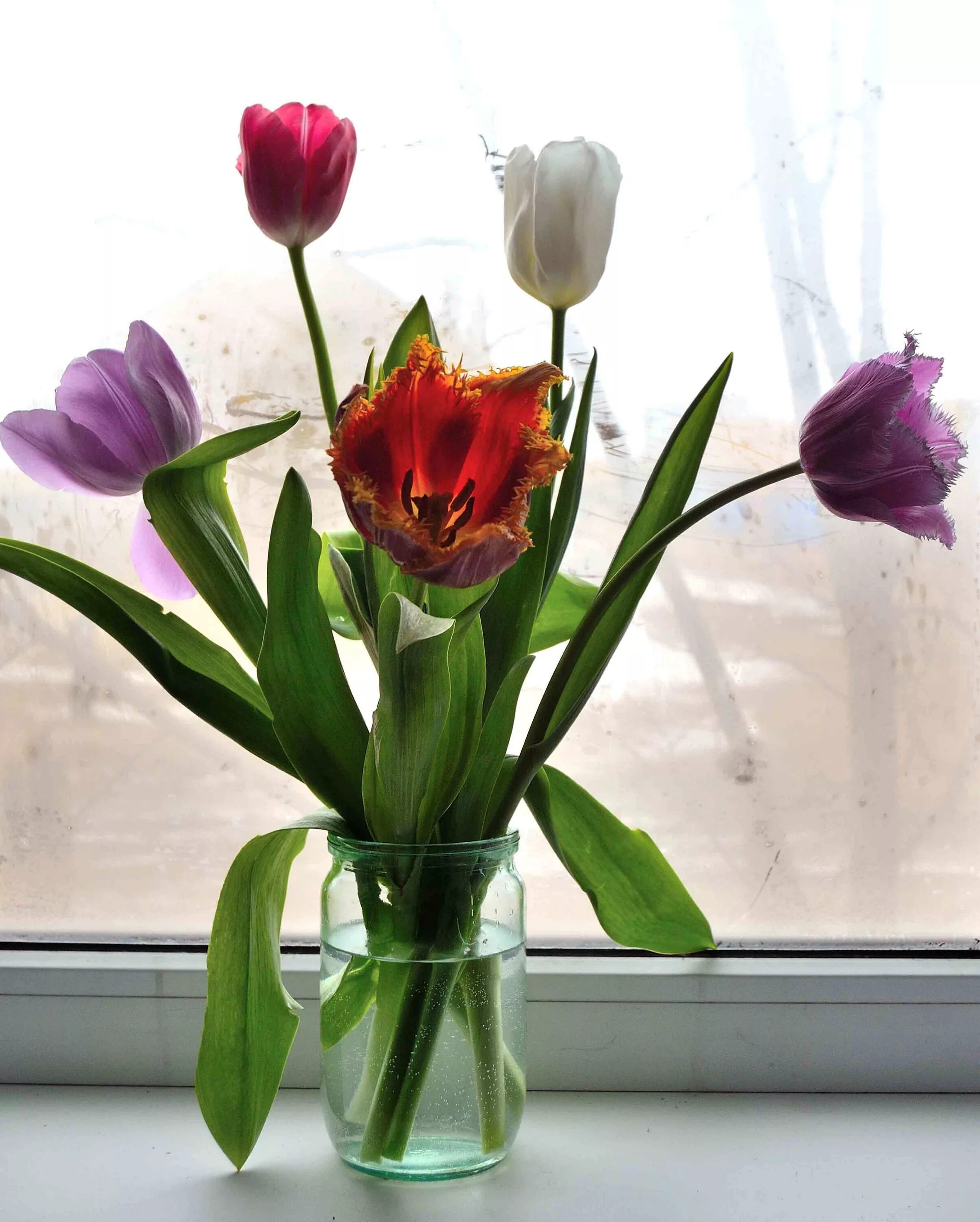 тюльпаны на подоконнике. весенние цветы на окне. тюльпаны в вазе. цветы в вазе на окне. цветы в вазе на подоконнике.
