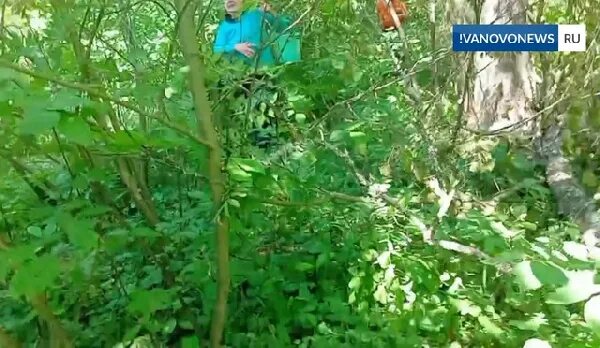 Однажды я заблудился в лесных оврагах впр