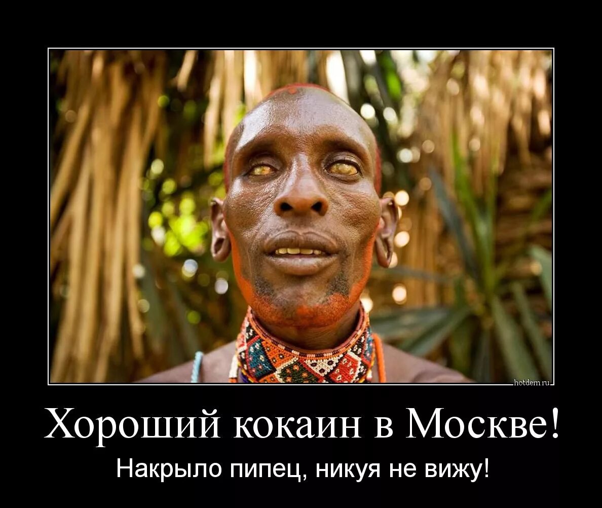 Нигуя зебе. Нигуя зебе картинки. демотиваторы про негров.