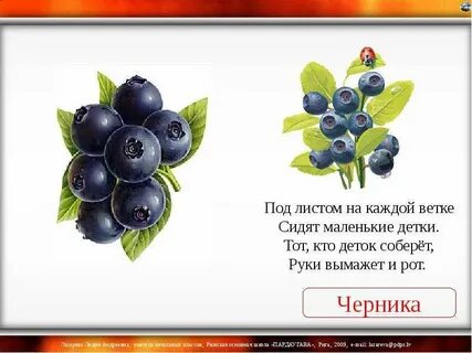На каждой веточке