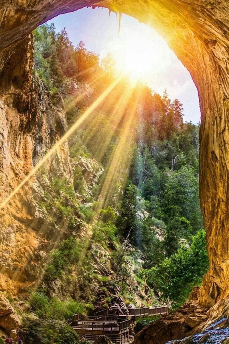 С добрым утром полевые цветы и пожелание. Чудо утром. Художница-иллюстратор из италии синция болонези (cinzia bolognesi). Чудо утром. Чудо утром.