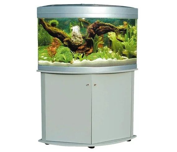 Аквариум джебо р 390. Аквариум джебо r375. Аквариум джебо 470. Jebo r331. Нано риф 60 литров.