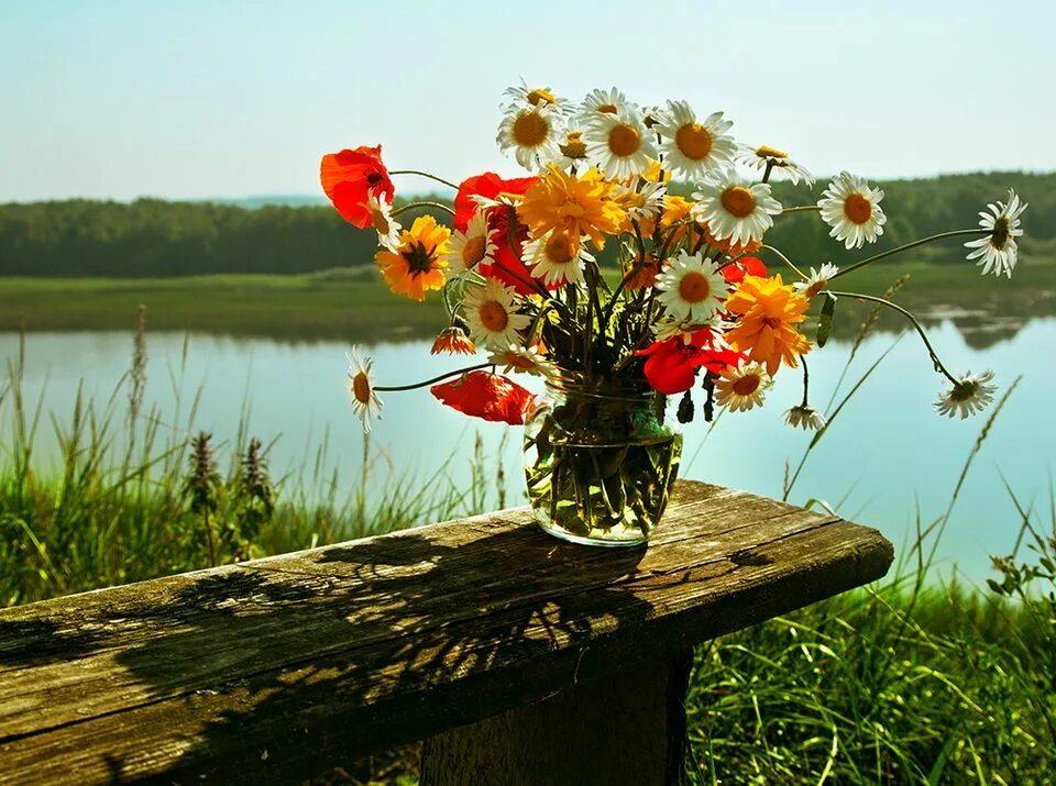 Полевые цветы букет песня слушать. Яркого летнего дня. Летнее утро. Июнь природа. Летние цветы.