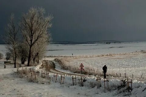 Ейск зимой