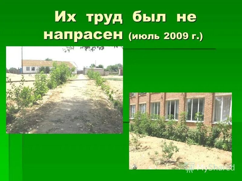 все не зря. труд на пользу. пушкин над озером в вечерний час. трудов напрасно не губя любите самого себя. напрасный труд стих.