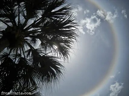Sun today