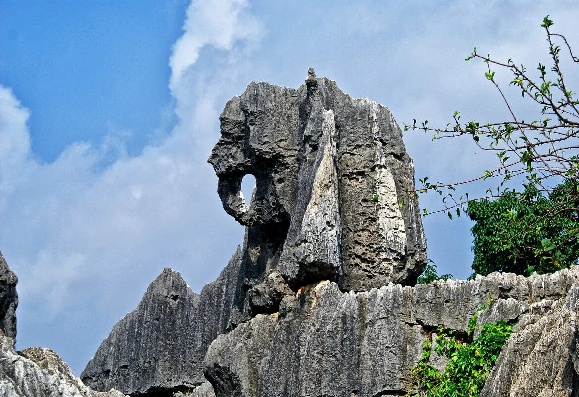 Горы в виде животных. Бесконечные горы. Гора демерджи профиль нефертити. Скалы с человеческими лицами. Скала - слон острова хеймаэй.