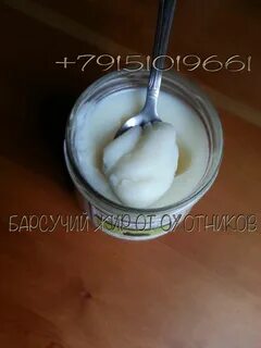 Как правильно вытопить барсучий жир