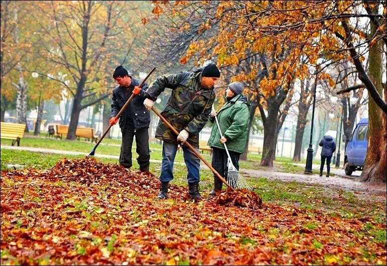 Жизнь человека осенью. Уборка листьев. Труд людей осенью. Уборка листьев в саду осенью. Уборка листьев в городе.
