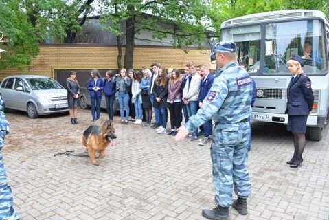 Черноземье кинологический воронеж