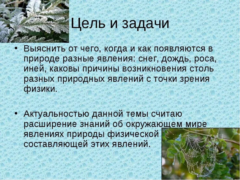 Изморозь это осадки. Роса и иней. Причины образования росы. Как образуется иней. Механизм образования инея.