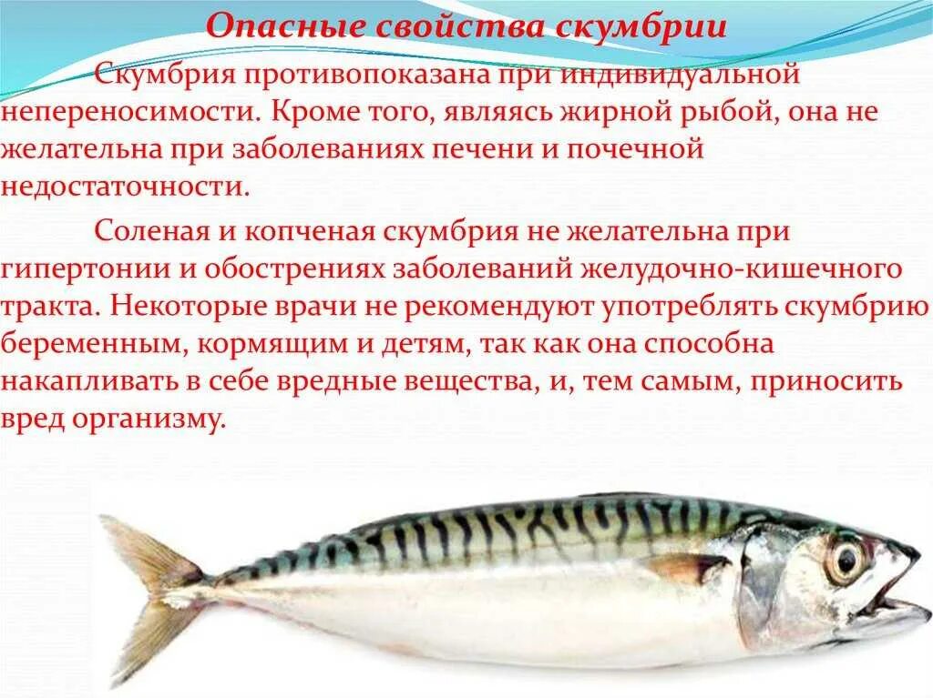 Скумбрия содержание витаминов и микроэлементов. Тунец витамины и микроэлементы. Скумбрия микроэлементы. Пищевая ценность и химический состав мясных консервов. Скумбрия неразделанная.