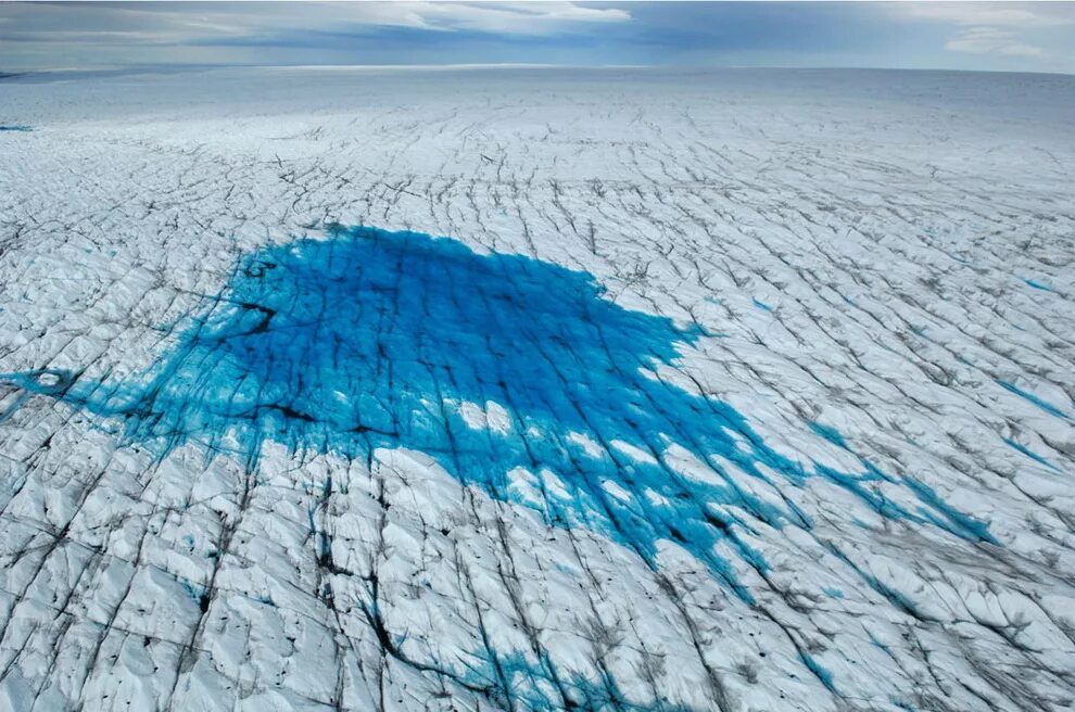 Растает весь океан. Таяние ледников в Антарктиде. Таяние ледников в Гренландии. Таяние льдов в Антарктиде. Ледяной Покров Антарктиды.