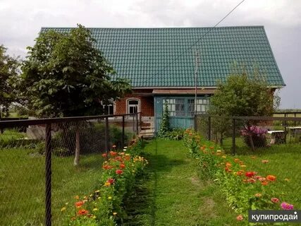 Дачи тамбовская область