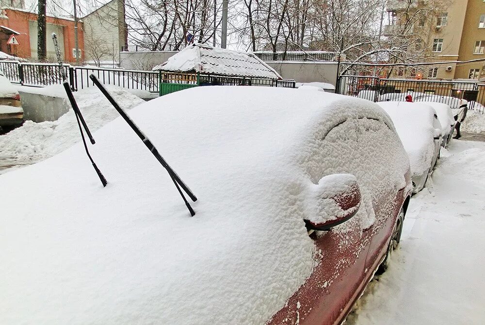 Много снега. 50 См снега. Выпало много снега. 50 Сантиметров снега. Выпадут сугробы