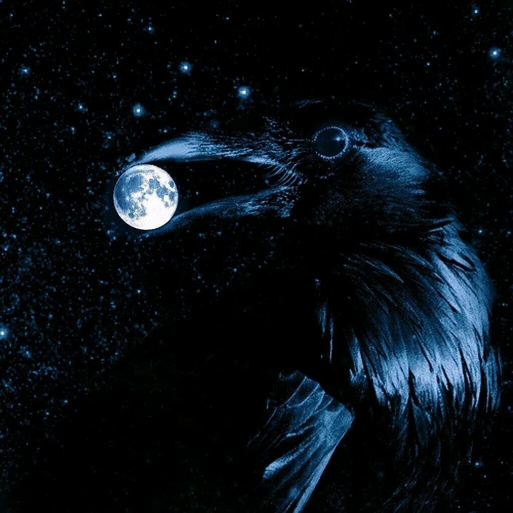 Ворон и Луна. Магический ворон. Черный ворон Тотем. Луна и вороны. Night crows вороны