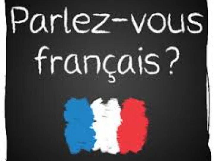 Parlez vous français. Parlez. Учить французский. Parlez-vous français обложка книги. Вы говорите по французски.