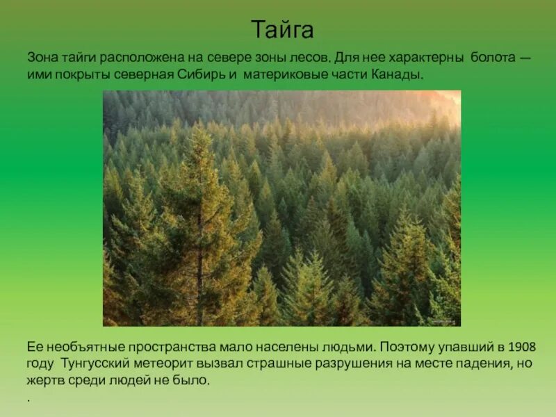 Для природной зоны тайги характерны. Тайга природная зона. Зона лесов Тайга. Для таежных лесов не характерна. Зона тайги расположена.