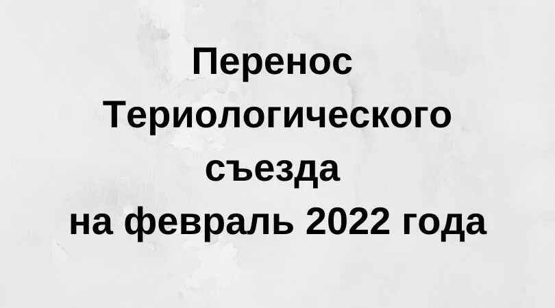 В 2024 году объявят военное положение. 2022 Год текст. Чему посвящен 2022 год. Что будет 22 февраля 2022 года. Что было в 2022 году.