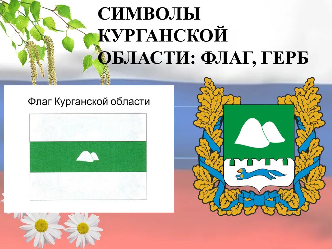 Курганская область страна