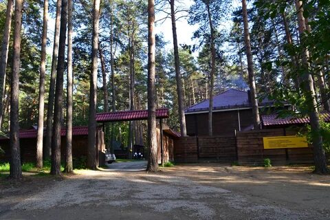 Логово новосибирск