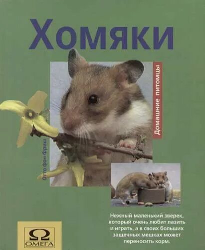 Хомяк с книгой. Книжный хомяк. Хомяк с книжкой. Тетрадь с хомячками в Буквоеде. Книга хомячки