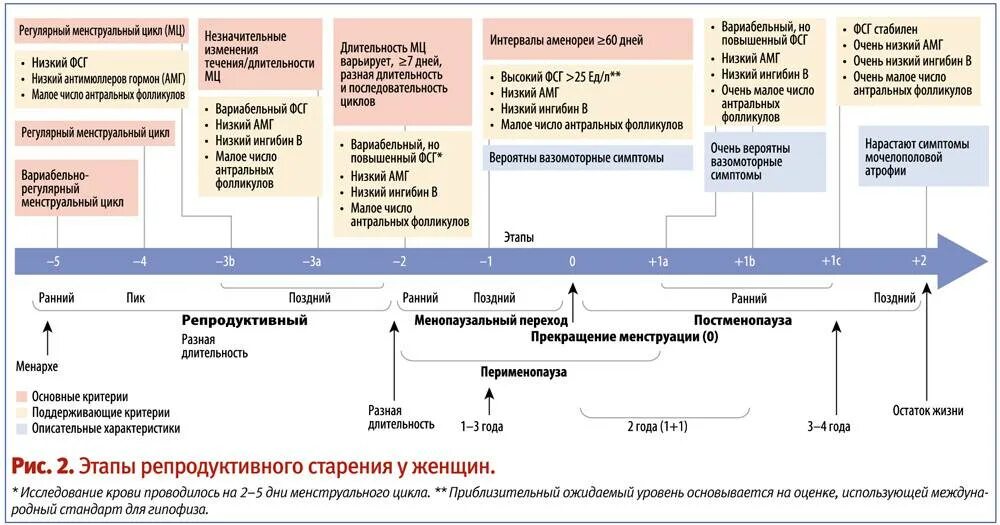 Крови после менопаузы. Климакс какие анализы сдать. Какие анализы сдать при климаксе. Стадии репродуктивного старения. Анализы на гормоны при климаксе.