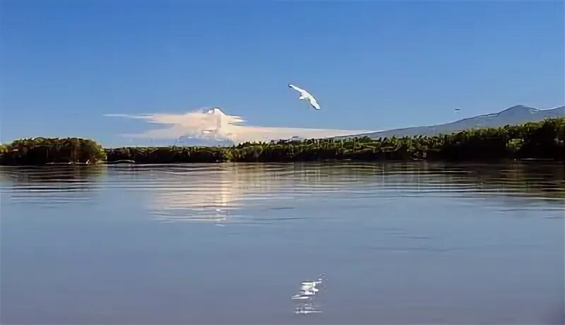 Река более глубже