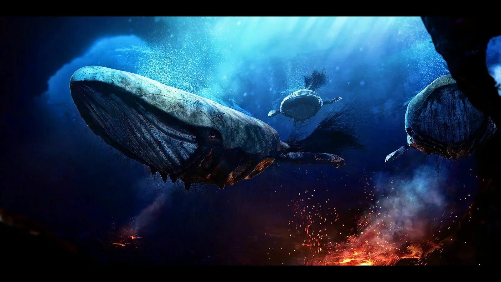 Киты в крипте. Киты в крипте. Киты. Киты на бирже. Киты в крипте.