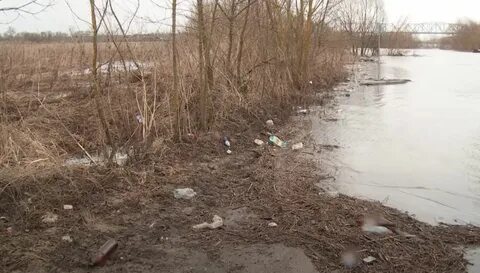 Уровень серпухов