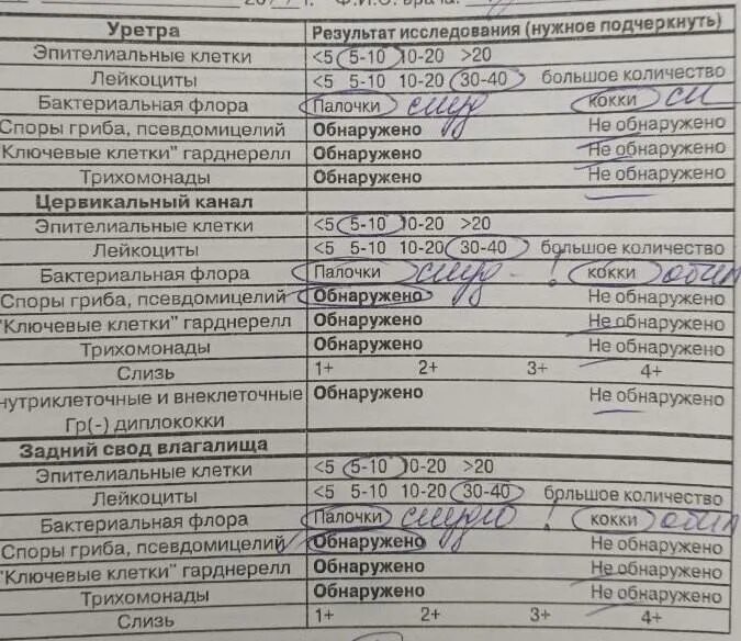 Можно Ли Заниматься Сексом Перед Цитологией