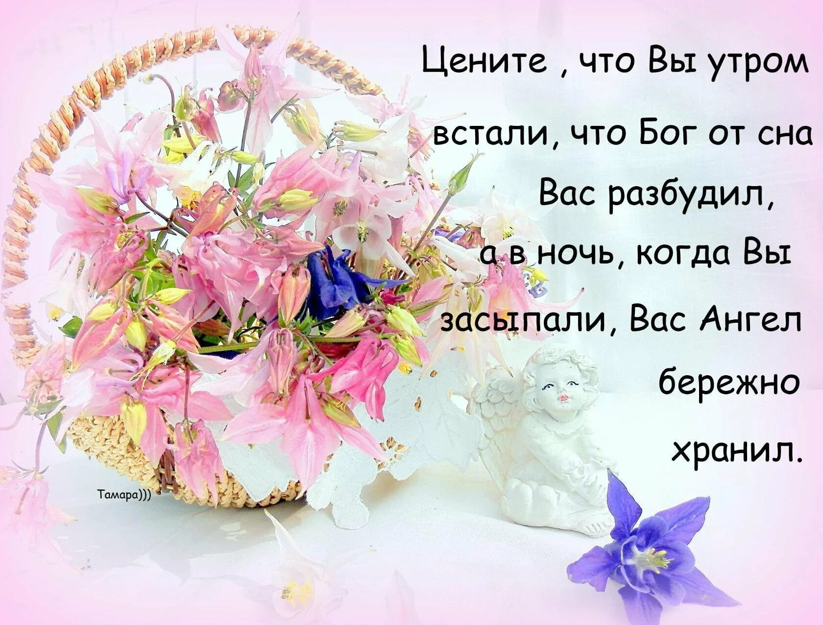 Чтоб каждый день был наполнен. Пусть новый день вас радует. пусть жизнь радует. пусть каждый день. какое счастье утром встать.