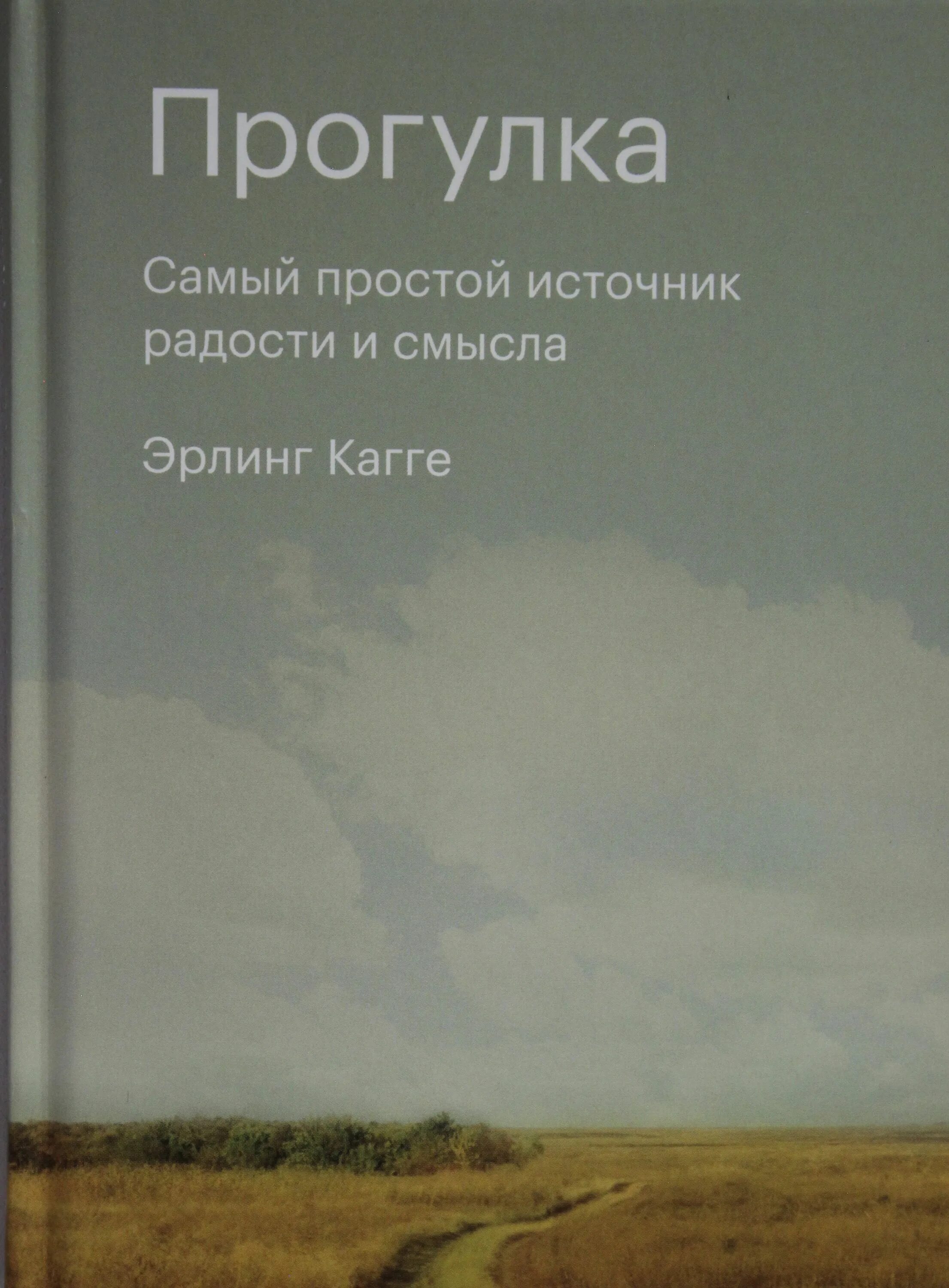 Прогулка книга купить