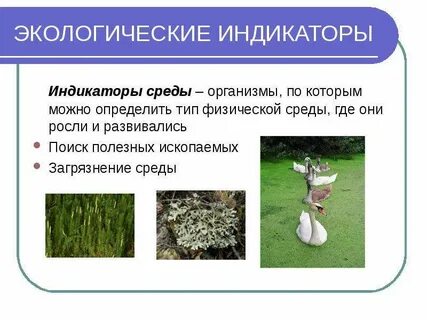 Индикаторы окружающей среды