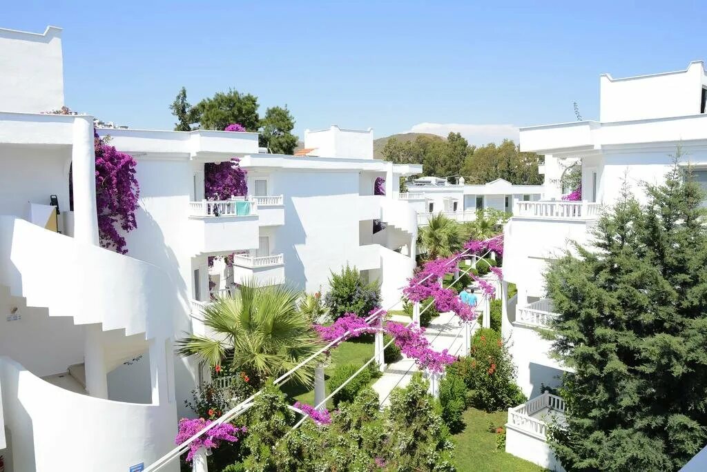 Beach resort 4 турция бодрум. Bendis Beach Hotel Bodrum. Bendis Beach 4 Бодрум. Петунья отель Бодрум. Петуния Бич Бодрум.