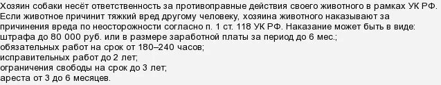 Когда делать прививку от бешенства после укуса собаки. Прививки от бешенства и алкоголь. Выпил при прививках от бешенства. Почему после прививки от бешенства нельзя