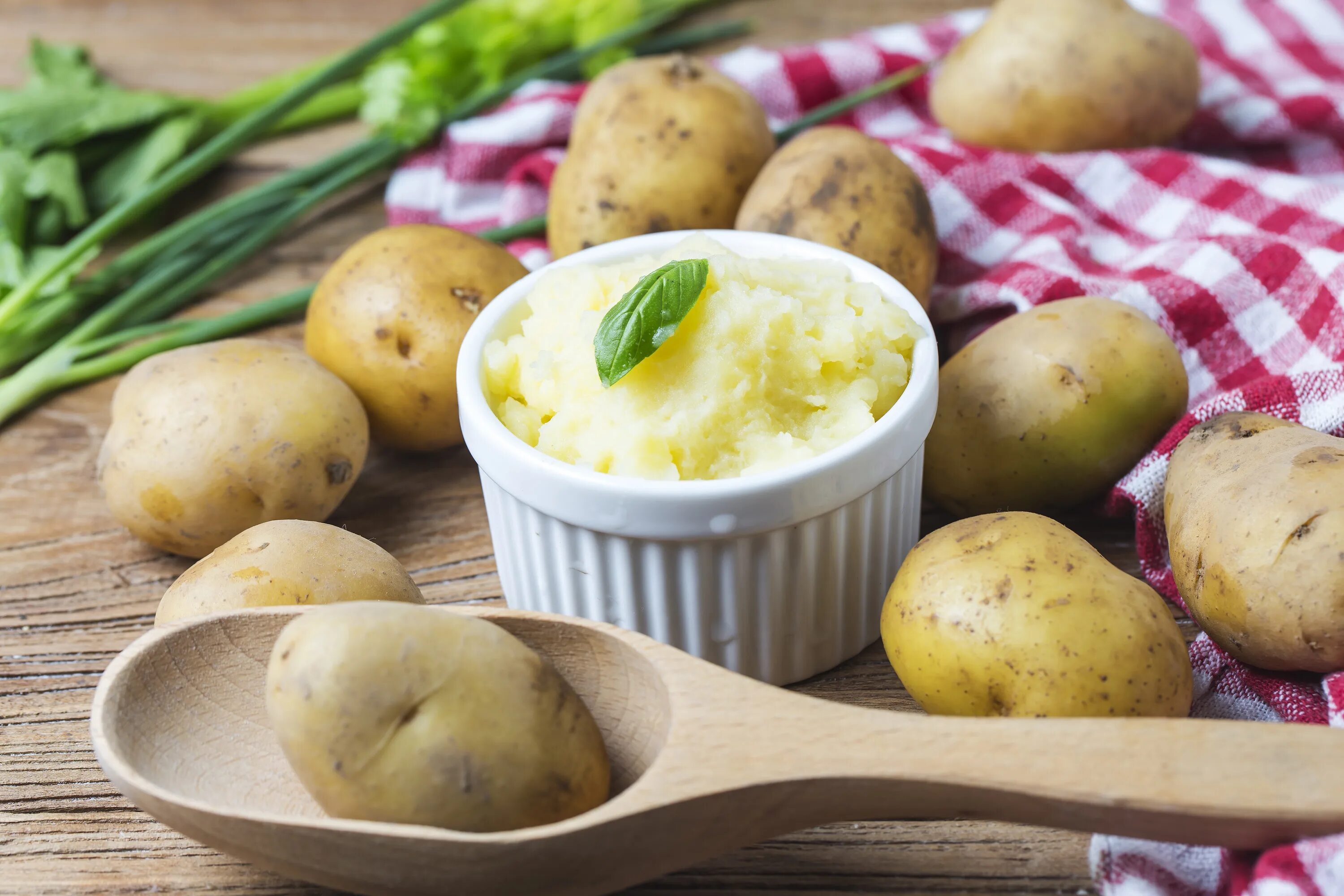 Картофель детям с какого возраста. Картошка. разваристый картофель. картофель для пюре сорта. картошка в мундире на пюре.